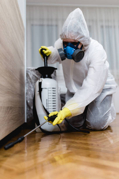 Best Real Estate Pest Inspections  in Eustis, FL